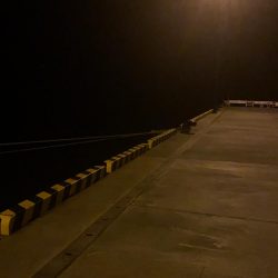 冷たい風に吹かれながら…