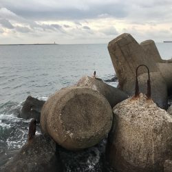 気温2℃寒い中釣れるか不安