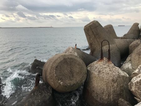 気温2℃寒い中釣れるか不安