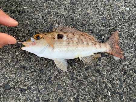 朝日を見ながら