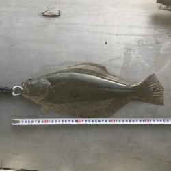 初ヒット!初ゲット!