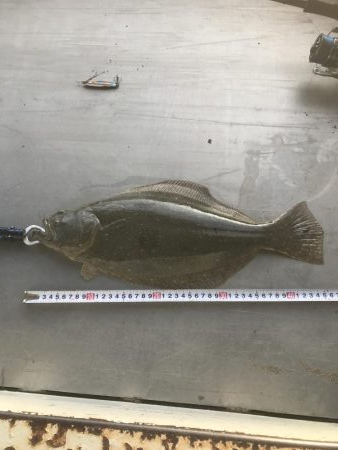 初ヒット!初ゲット!