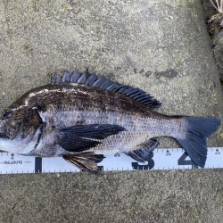 イチノ兄弟、釣果！