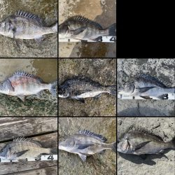 イチノ兄弟、釣果!