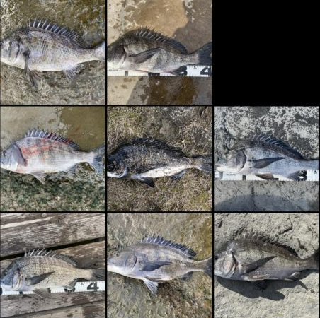 イチノ兄弟、釣果!