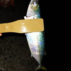 連休は人でいっぱい