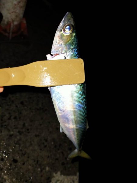 連休は人でいっぱい