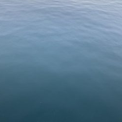 遅めの朝マズメ