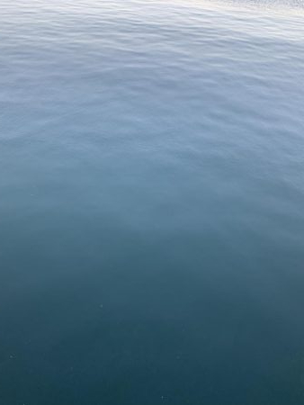 遅めの朝マズメ