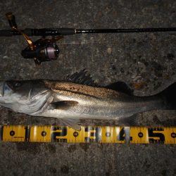 1発勝負みたいな感じが続く…。