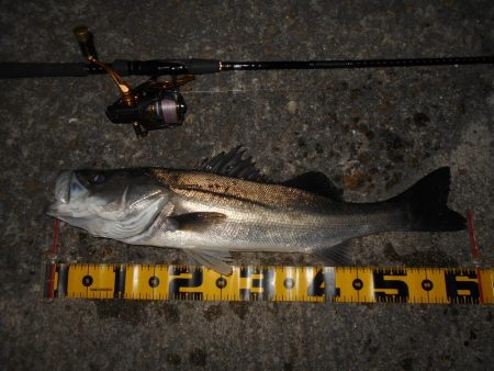 1発勝負みたいな感じが続く…。