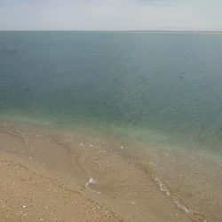 今年初釣行で寒鮃