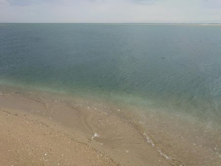 今年初釣行で寒鮃