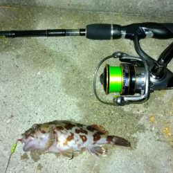 冬の根魚調査８