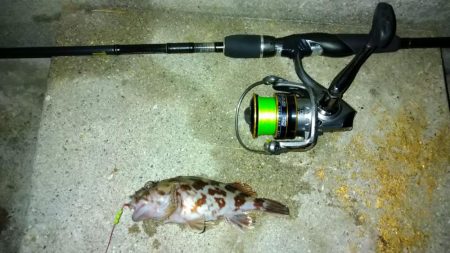 冬の根魚調査８