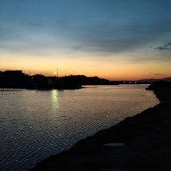 冬の根魚調査１１