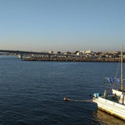 冬の根魚調査１２