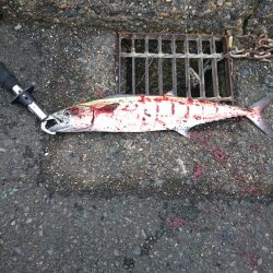 仕事終わりにサクッと。