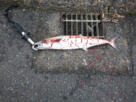 仕事終わりにサクッと。