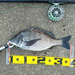 複数枚 ～さざなみ公園～