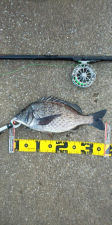 複数枚 ～さざなみ公園～