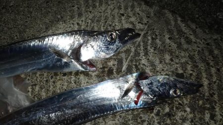 初釣りは手堅く