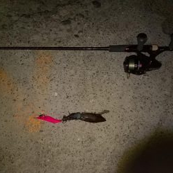 初釣りはヒイカでスタート！