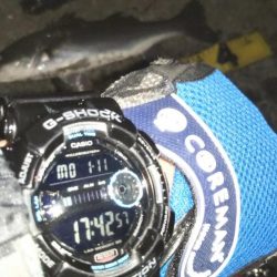 ぶらシーバス!!