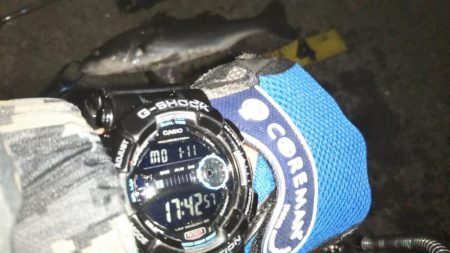 ぶらシーバス!!