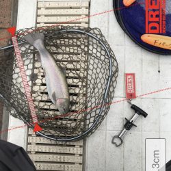 服部フィッシングパーク