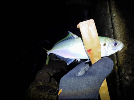 サイズが出ないなあ