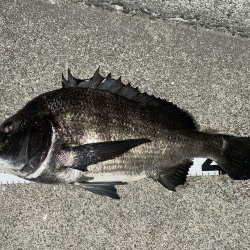 イチノ兄弟、釣果！