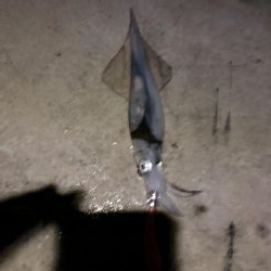 渋い感じでしたが…