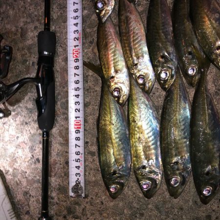 2021 佐渡ヶ島ライトゲーム