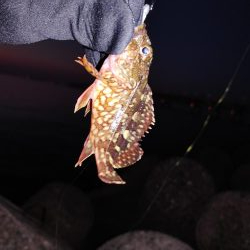 激渋メバリング