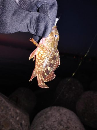 激渋メバリング