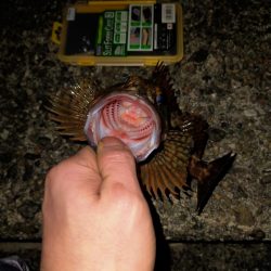 仕事終わりのライトゲーム