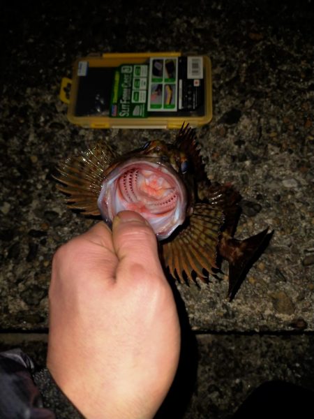 仕事終わりのライトゲーム