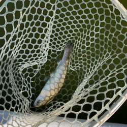 岸和田フィッシングパーク