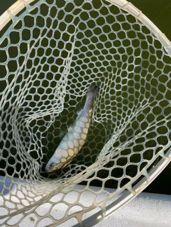 岸和田フィッシングパーク