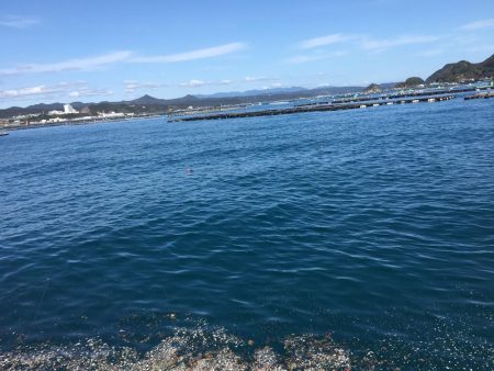 ヒラメ65㎝ゲット！　アジ126匹