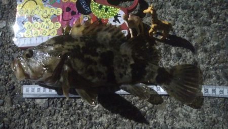 釣りデビュー 39日目