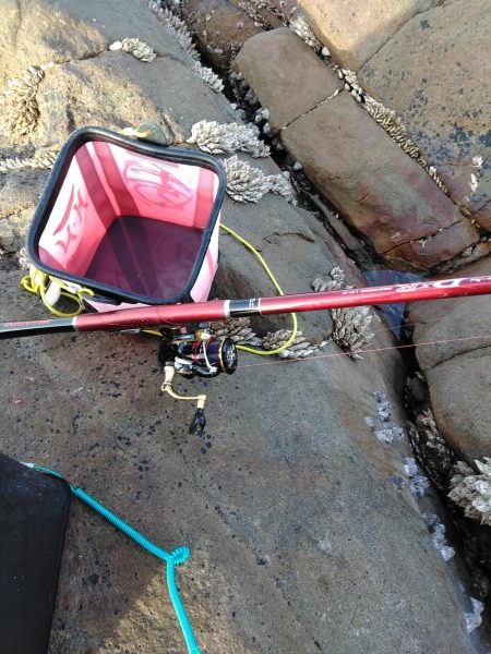 フカセ‥尾長グレ