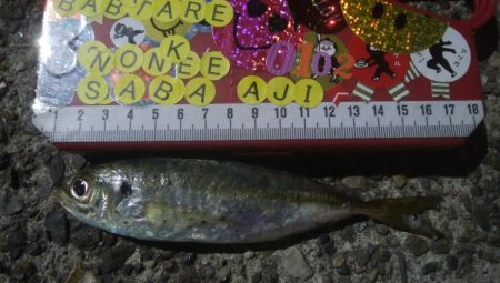 釣りデビュー　43日目