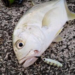 沖縄でも寒いです