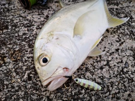 沖縄でも寒いです