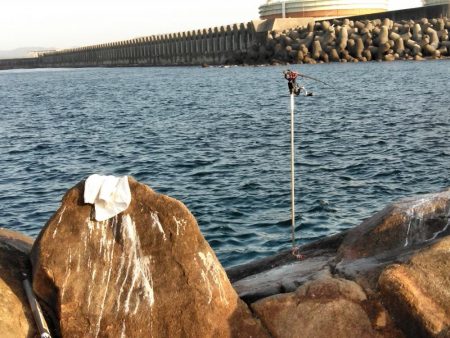 アオリイカ一杯・・・