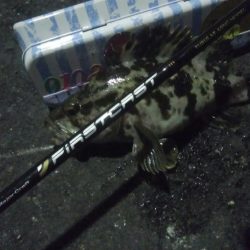 釣りデビュー　59日目