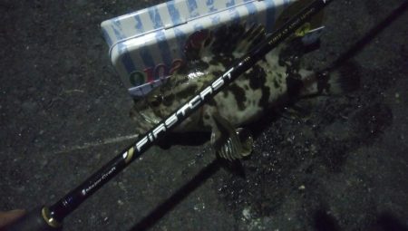 釣りデビュー　59日目