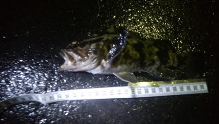 釣りデビュー　60日目